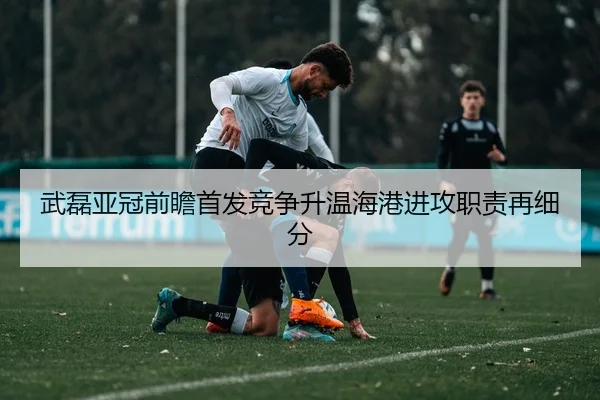 武磊亚冠前瞻首发竞争升温海港进攻职责再细分